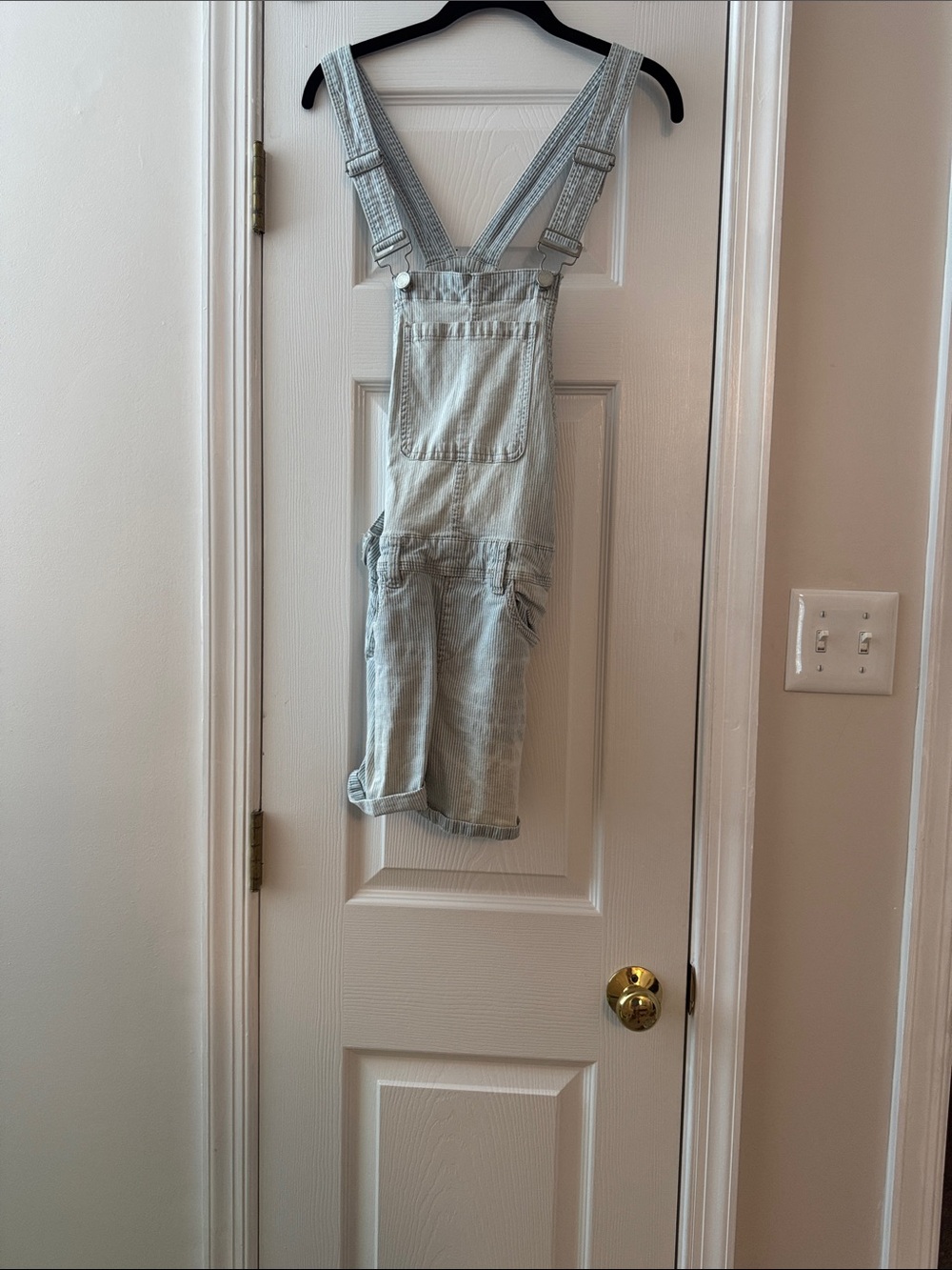 Blank NYC Light Wash Denim Short Overalls